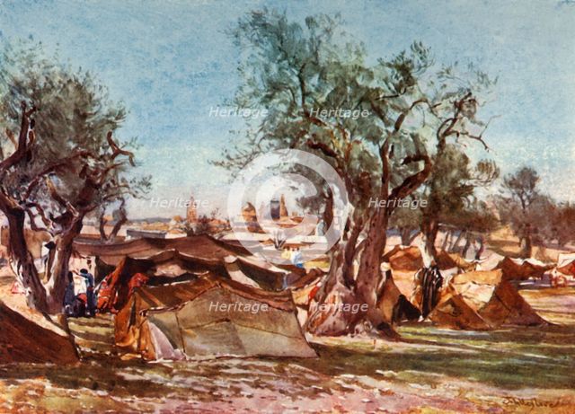 'Bedouin Encampment Outside the North Wall of Jerusalem', 1902. Creator: John Fulleylove.