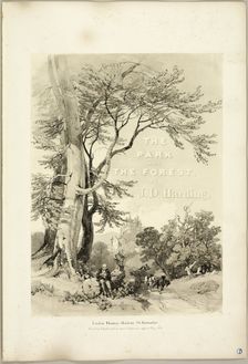 Beech and Oak (Frontispiece), from The Park and the Forest, 1841. Creator: James Duffield Harding