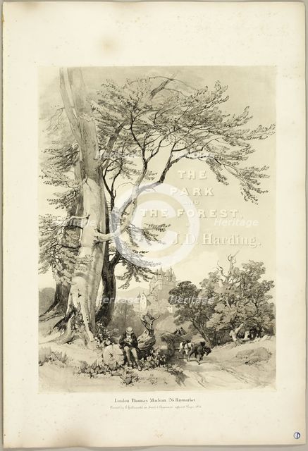 Beech and Oak (Frontispiece), from The Park and the Forest, 1841. Creator: James Duffield Harding.