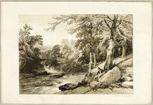 Beech and Ash on the Greta, from The Park and the Forest, 1841. Creator: James Duffield Harding