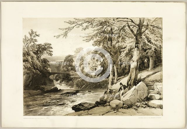 Beech and Ash on the Greta, from The Park and the Forest, 1841. Creator: James Duffield Harding.