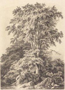 Beech Grove, 1840. Creator: Eugene Blery