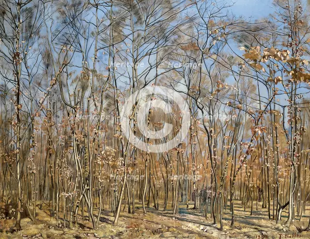 Beech forest, 1885-1894 . Creator: Hodler, Ferdinand (1853-1918).