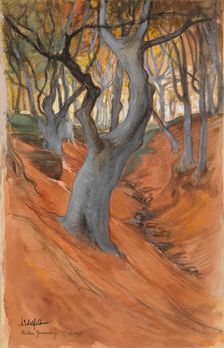 Beech Forest, 1901. Creator: Albert Edelfelt