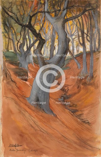 Beech Forest, 1901. Creator: Albert Edelfelt.