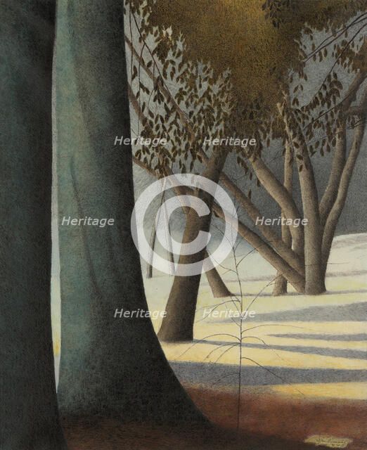 Beech Trunks, 1945. Creator: Spilliaert, Léon (1881-1946).