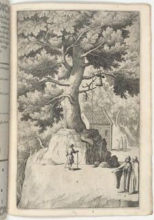 Beech Tree with the Bell (Faggio della campana) [plate X], 1612. Creator: Jacopo Ligozzi
