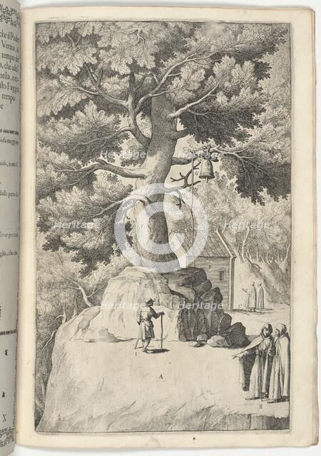 Beech Tree with the Bell (Faggio della campana) [plate X], 1612. Creator: Jacopo Ligozzi.