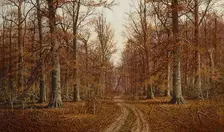 Beech Trees, date unknown. Creator: William M Snyder