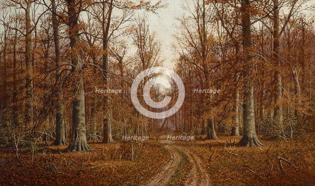 Beech Trees, date unknown. Creator: William M Snyder.