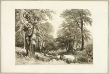Beech Trees in Arundale Park, from The Park and the Forest, 1841. Creator: James Duffield Harding