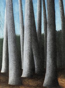 Beech Trees Trunks, 1945. Creator: Spilliaert, Léon (1881-1946)