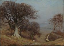 Beeches on the Quantocks 1885-1924. Artist: Benjamin Haughton