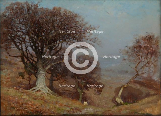 'Beeches on the Quantocks', 1885-1924. Creator: Benjamin Haughton.