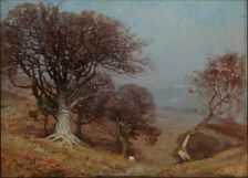 Beeches on the Quantocks 1885-1924. Creator: Benjamin Haughton