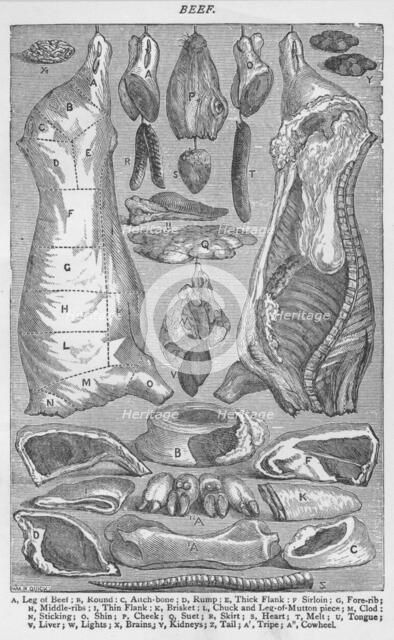 'Beef', 1907, (1907). Artist: Unknown.