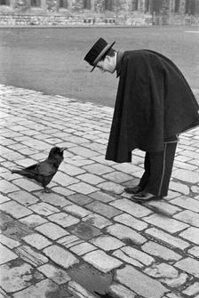 Beefeater bending down to address a raven, Tower of London, Tower Hill, London, late 1930s. Artist: John Gay