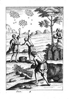 Beekeepers preparing to take a swarm, 18th century
