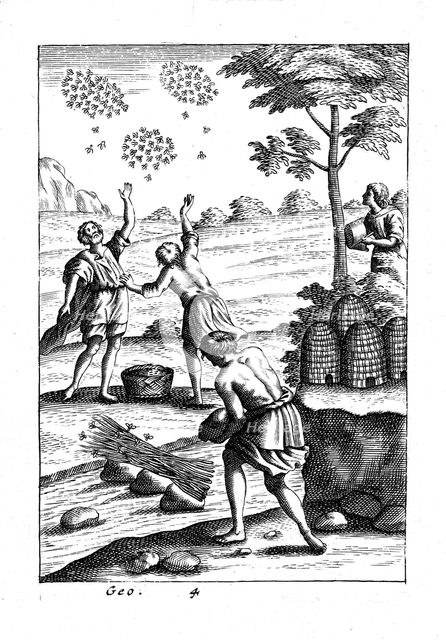 Beekeepers preparing to take a swarm, 18th century. Artist: Unknown