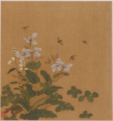 Bees hovering over flowers, Qing dynasty, 18th century. Creator: Unknown