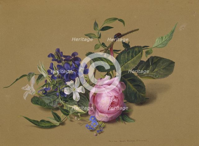 Beetle at the rose branch. Artist: Tolstoy, Fyodor Petrovich (1783-1873)