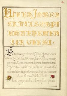 Beetlelike Insects; Mira calligraphiae monumenta, 1561-1562; illumination added 1591-1596. Creator: Joris Hoefnagel