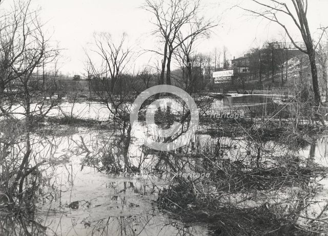 Before at Wakefield, New York City, through driveway was built, c1907. Creator: Frances Benjamin Johnston.