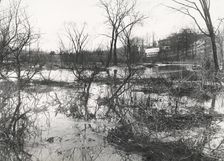 Before at Wakefield, New York City, through driveway was built, c1907. Creator: Frances Benjamin Johnston
