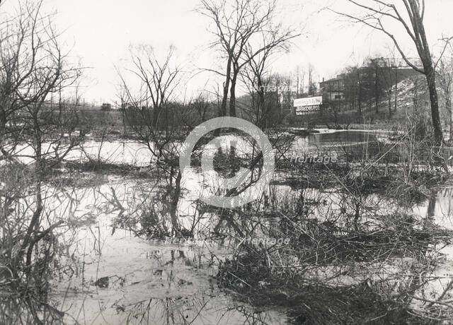 Before at Wakefield, New York City, through driveway was built, c1907. Creator: Frances Benjamin Johnston.