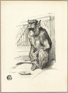 Begging Monkey, n.d. Creator: Auguste-Andre Lancon