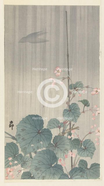 Begonia in the rain, 1930s. Creator: Ohara, Koson (1877-1945).