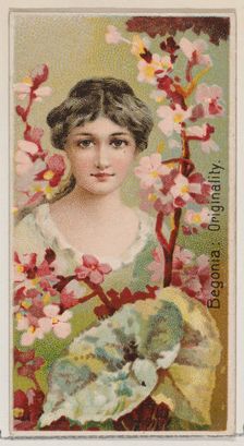 Begonia: Originality, from the series Floral Beauties and Language of Flowers (N75) for Du..., 1892. Creator: Donaldson Brothers