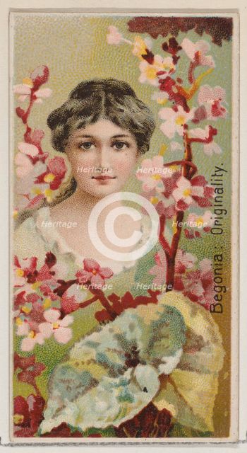 Begonia: Originality, from the series Floral Beauties and Language of Flowers (N75) for Du..., 1892. Creator: Donaldson Brothers.