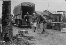 Belgian Army pigeons, between c1915 and c1920. Creator: Bain News Service