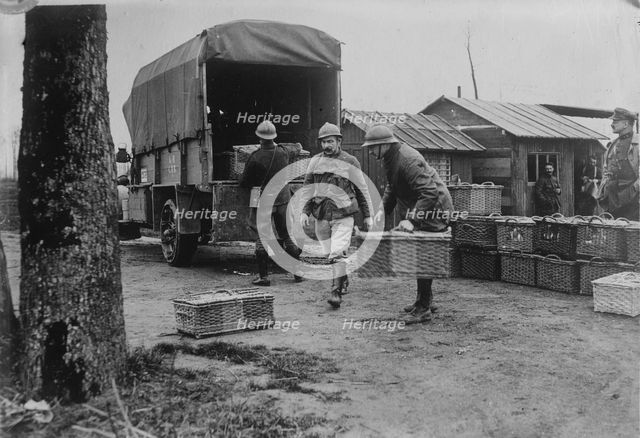 Belgian Army pigeons, between c1915 and c1920. Creator: Bain News Service.