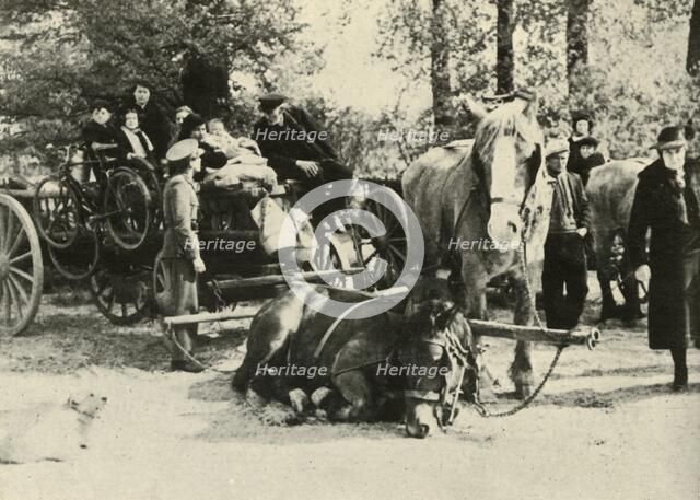 'Belgian Refugees on the Road', 1939-1940, (1941). Creator: Unknown.
