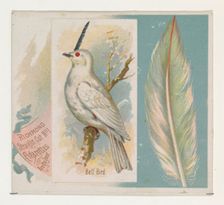 Bell Bird, from the Song Birds of the World series (N42) for Allen & Ginter Cigarettes, 1890. Creator: Allen & Ginter