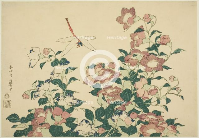 Bell-Flower and Dragonfly, from an untitled series of large flowers, Japan, c. 1833/34. Creator: Hokusai.