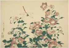 Bell-Flower and Dragonfly, from an untitled series of large flowers, Japan, c. 1833/34. Creator: Hokusai