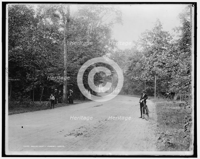 Belle Isle Park, Forest Drive, between 1880 and 1899. Creator: Unknown.