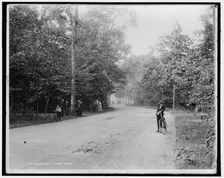 Belle Isle Park, Forest Drive, between 1880 and 1899. Creator: Unknown