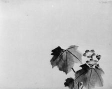 Bellflower, 19th century. Creator: Hokusai School