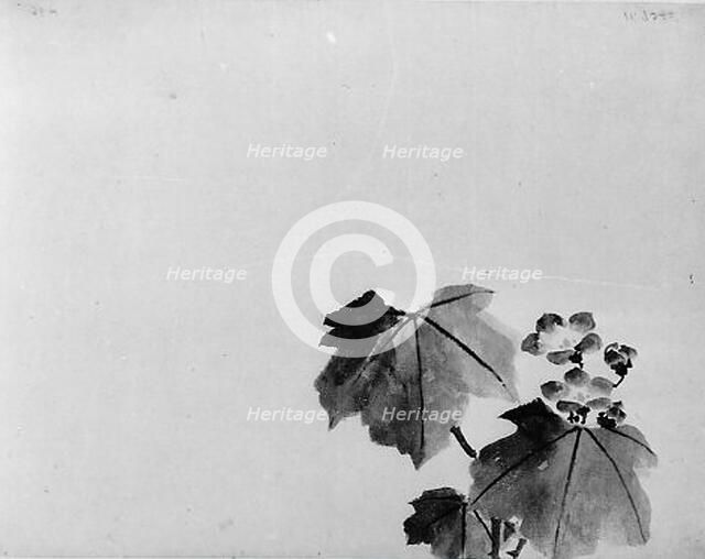 Bellflower, 19th century. Creator: Hokusai School.