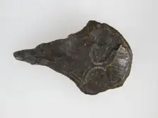 Belt Buckle Tongue, Frankish or Burgundian, 4th-7th century. Creator: Unknown