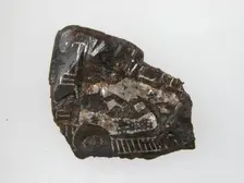 Belt Plate Fragment, Frankish, 4th-7th century. Creator: Unknown