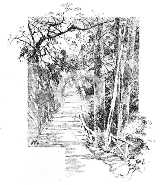 Belvoir Castle: footpath leading to the Castle, 1890. Creator: Unknown.