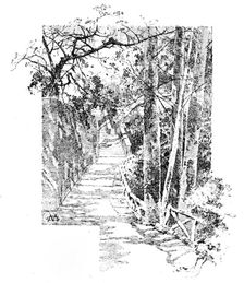 Belvoir Castle: footpath leading to the Castle, 1890. Creator: Unknown