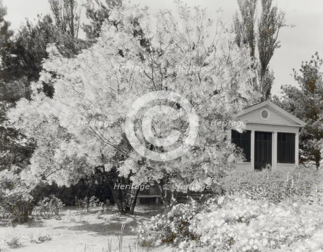 "Belvoir," Fairfax Harrison house, Star Route 709, The Plains, Fauquier County, Virginia, 1928. Creator: Frances Benjamin Johnston.