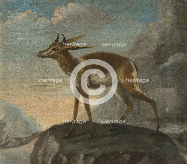 Bengal deer, late 17th-early 18th century. Creator: David Kock.
