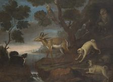 Bengalese Deer Attacked by Pugs, 18th century. Creator: David Kock